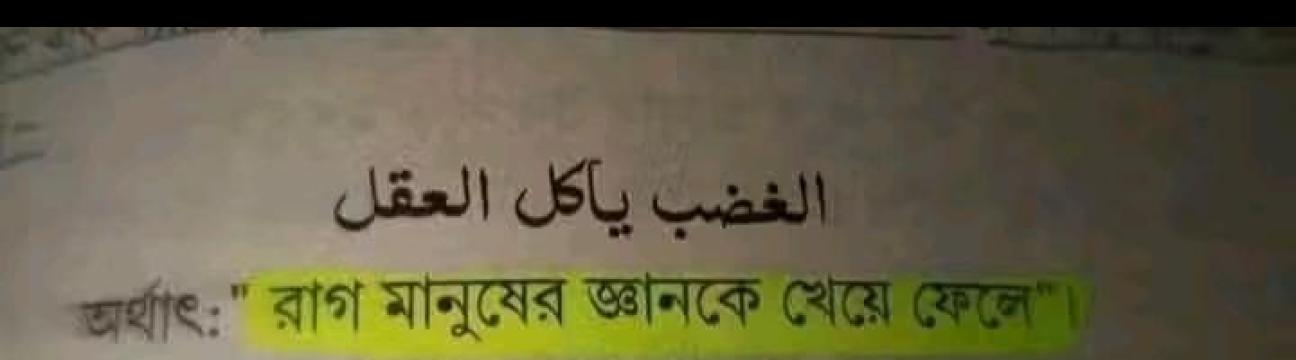 Adnan  Hasib