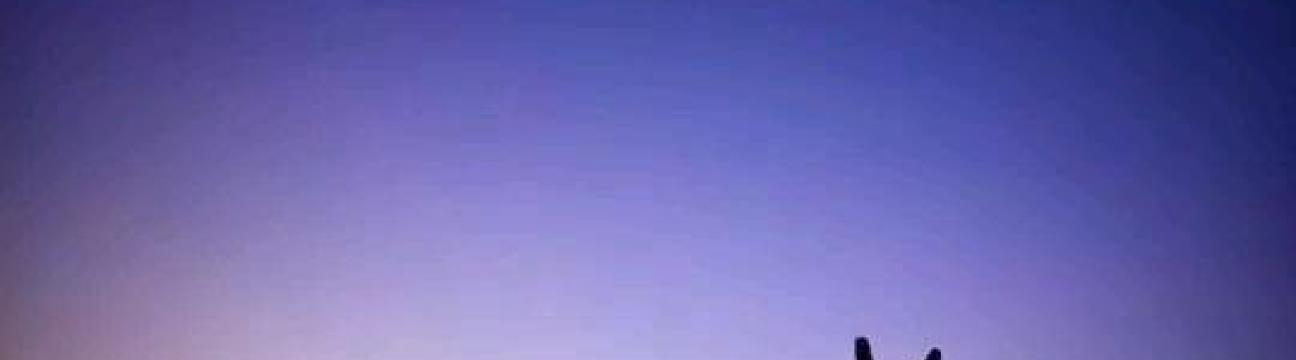 ʙᴀᴅ  Sʜᴀ